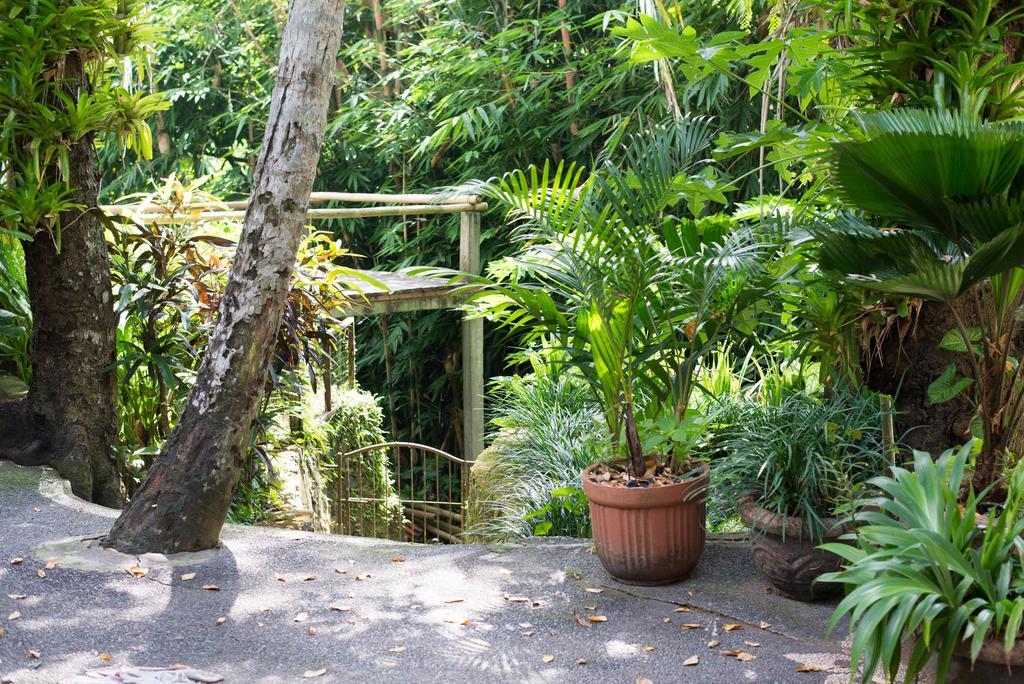 Serenity House Ubud (Bali) Ngoại thất bức ảnh