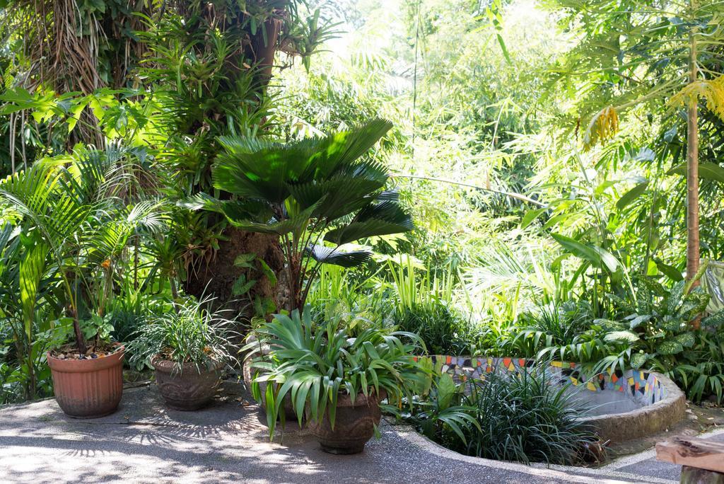 Serenity House Ubud (Bali) Ngoại thất bức ảnh