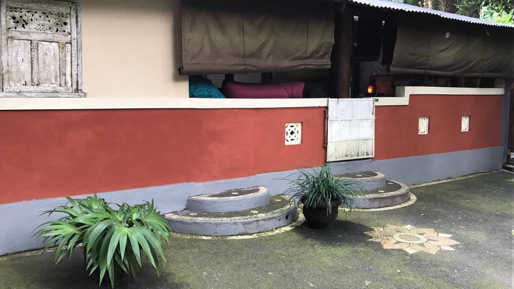 Serenity House Ubud (Bali) Ngoại thất bức ảnh